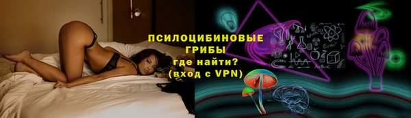 бошки Абаза