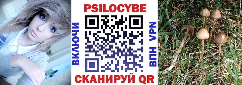 Псилоцибиновые грибы мицелий  Киселёвск 