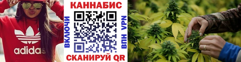 Бошки Шишки OG Kush  darknet какой сайт  Киселёвск 